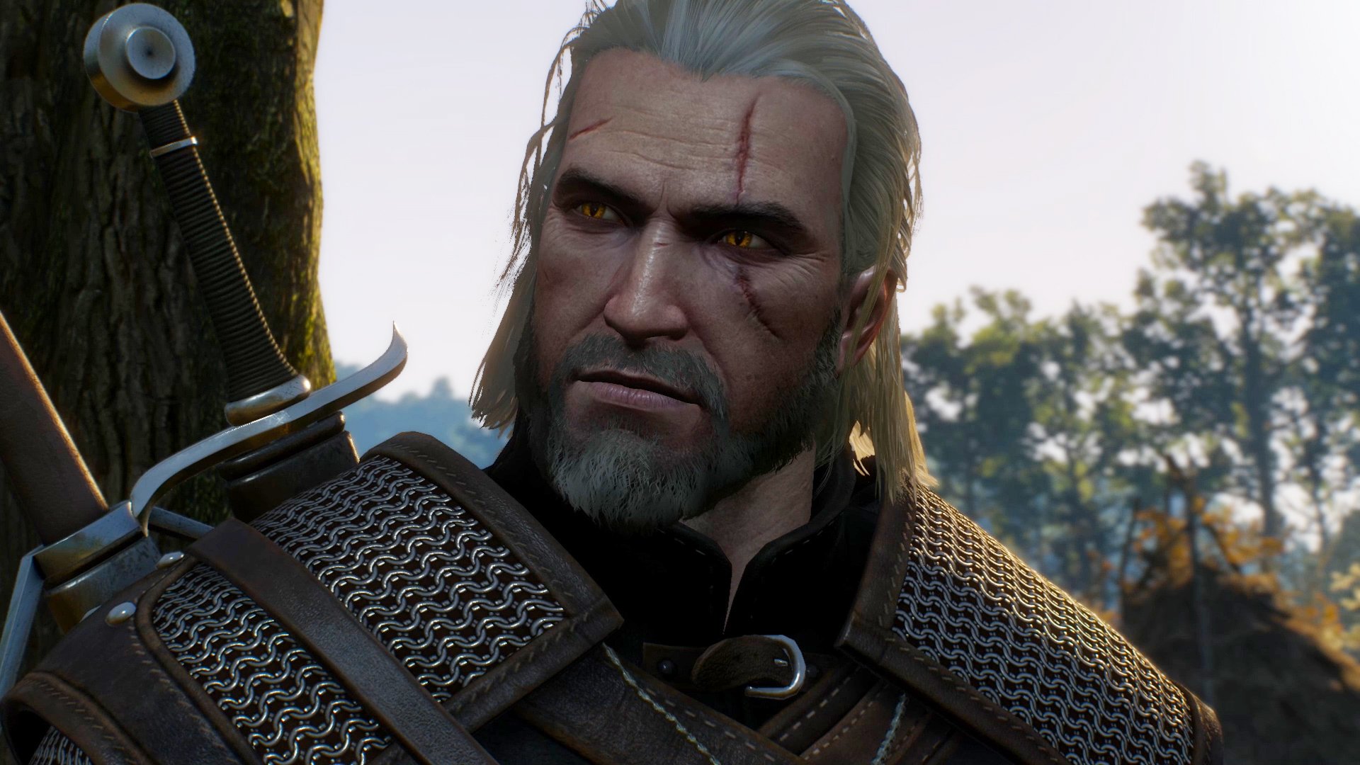 The Witcher 3 Wild Hunt