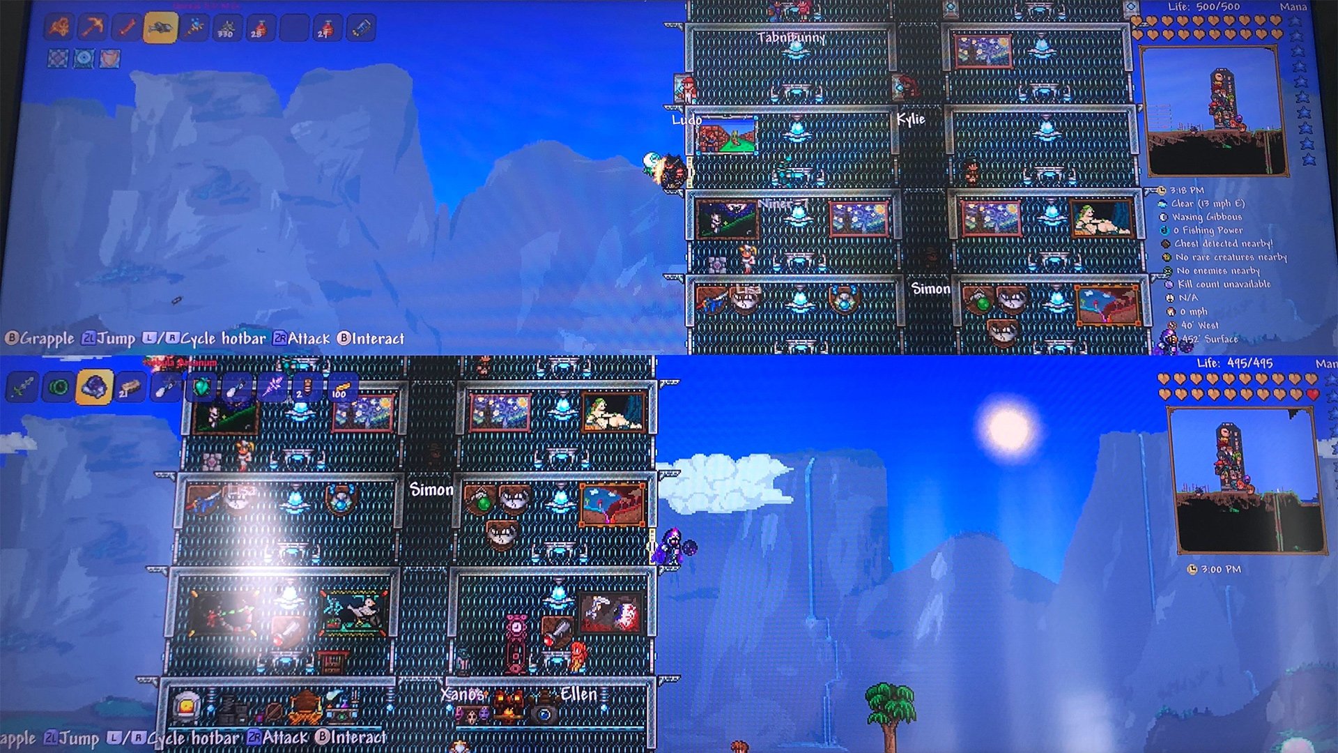 Terraria Switch co-op