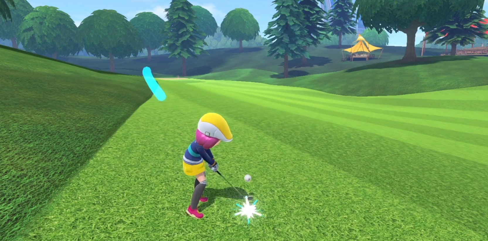 Nintendo Switch Sports golf