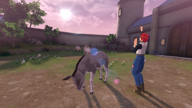 Pets in Fire Emblem Engage Farmland