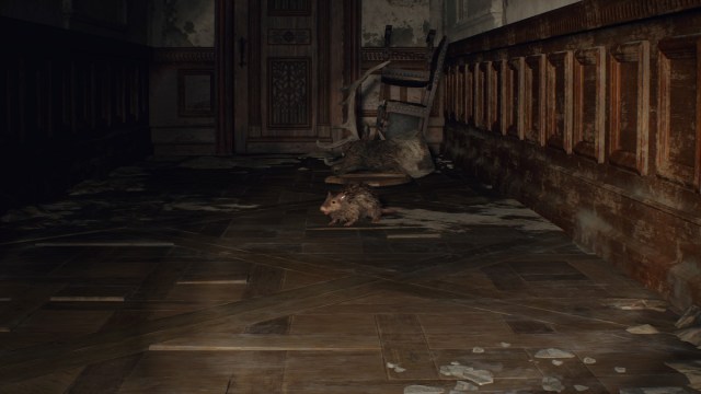 Resident Evil 4 Rat Location Library