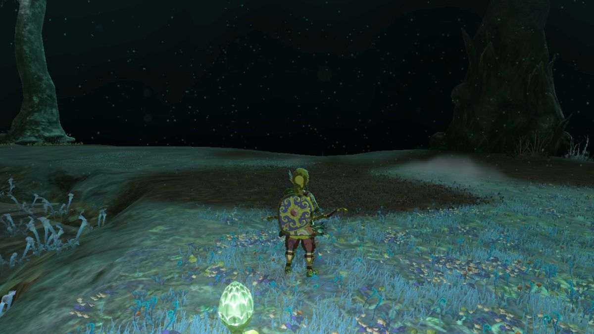 Link exploring the Depths in Tears of the Kingdom