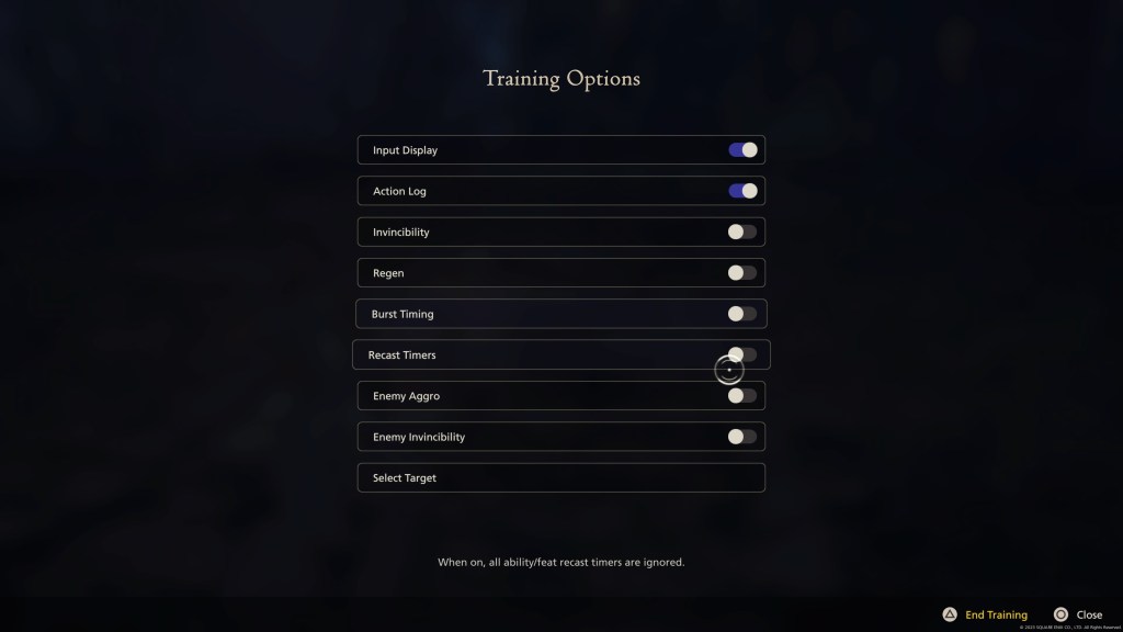 Final Fantasy XVI training mode options 1