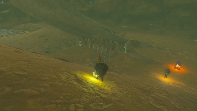 Complete baby leviathan skeleton in the Gerudo's Colossal Fossil quest.