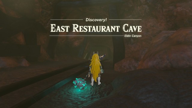 Link entering East Restaurant Cave in The Legend of Zelda: Tears of the Kingdom.