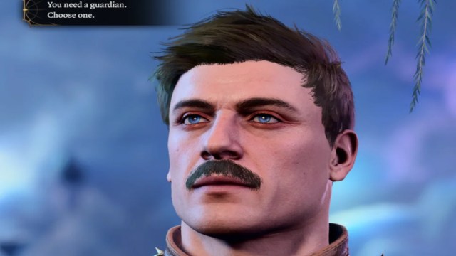 Ron Swanson Guardian in Baldur's Gate 3.