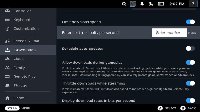 Steam Deck download settings.