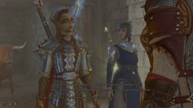 Baldur's Gate 3 Lae'zel and Karlach