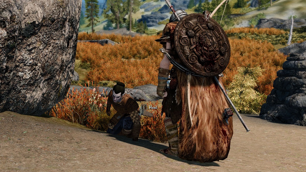 Skyrim: A fighter heading to a follower to heal them.