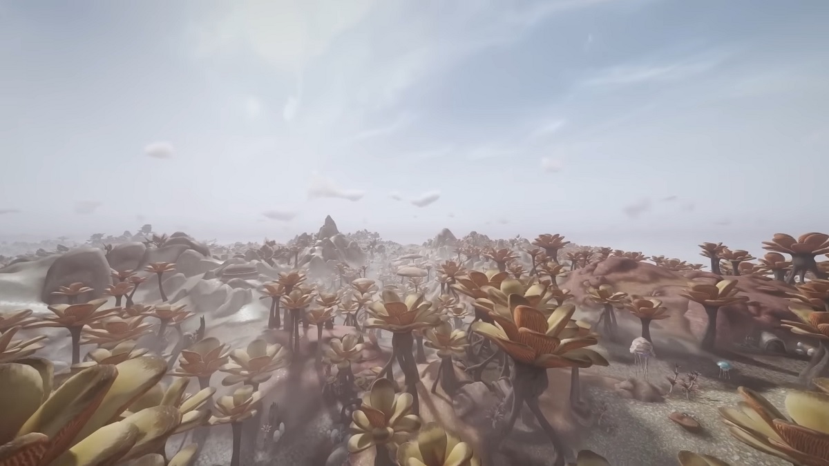 Screenshot from a Morrowind video showing a piece of land stretching into the horizon.