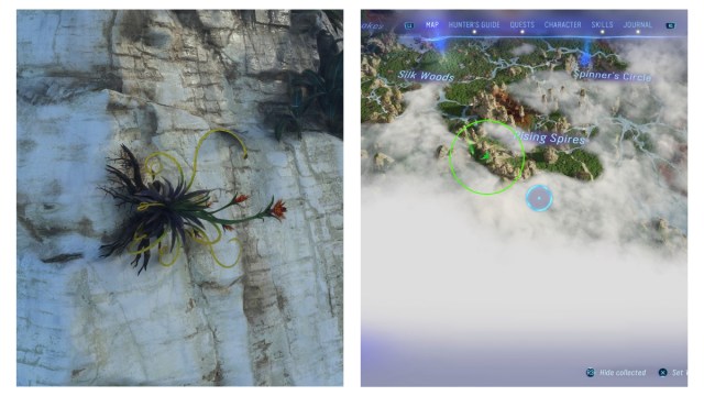 Blaze Fruit location in Avatar Frontiers of Pandora