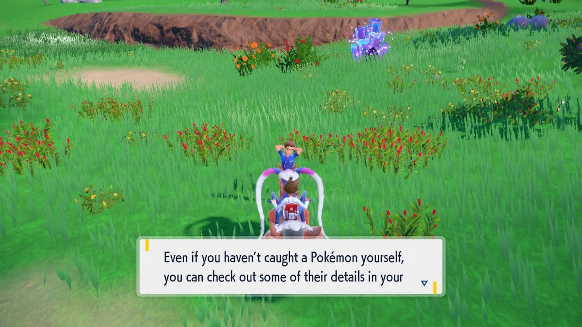 Alolan Pokemon trainer in Pokemon Scarlet & Violet: The Indigo Disk