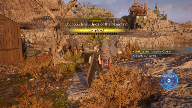 Chocobo Intel: Birds of the Mountain