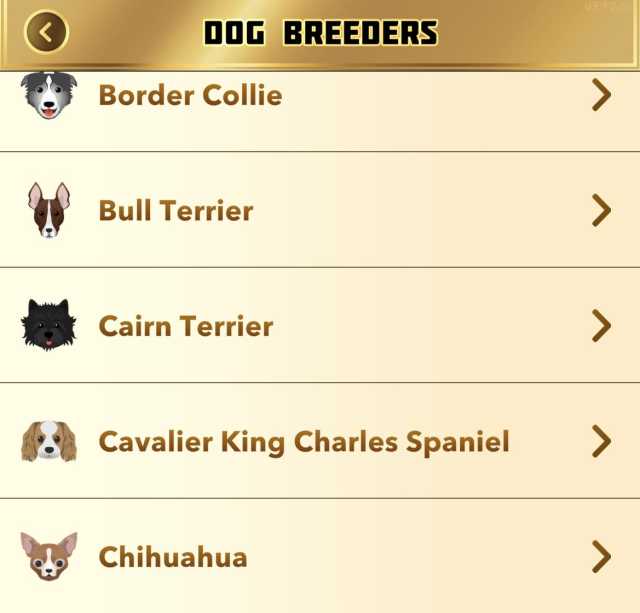 BitLife chihuahua dog breed