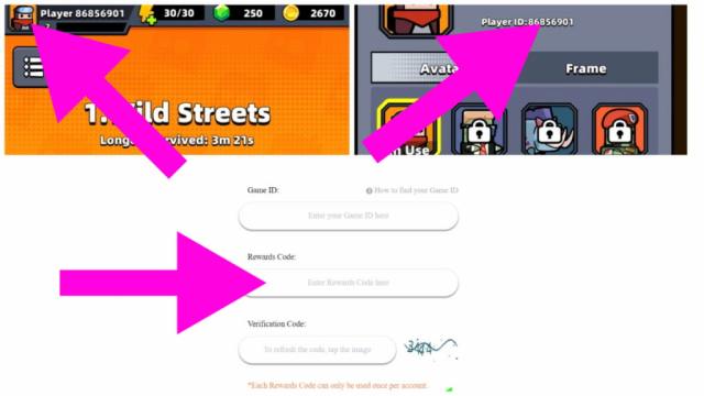 How to redeem Survivor.io codes
