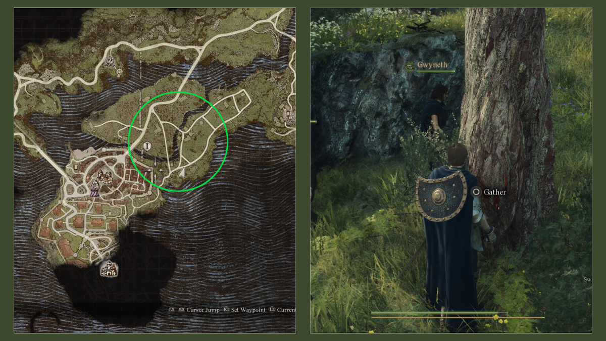 Dragon's Dogma 2 Cinnamon Bark location