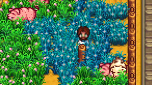 Blue Grass in Stardew Valley