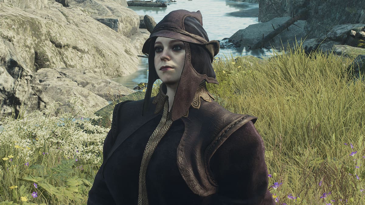 Dragon's Dogma 2 hide helmet