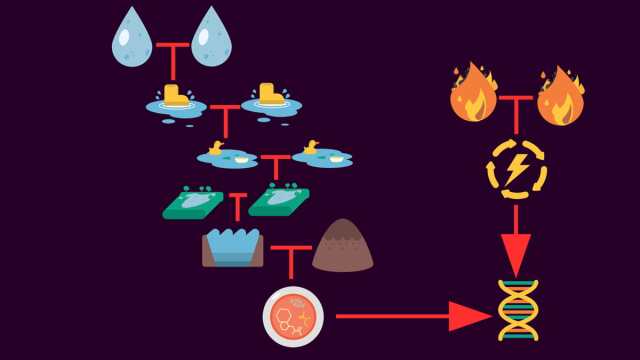 Little Alchemy 2 Life recipe for philosophy and big