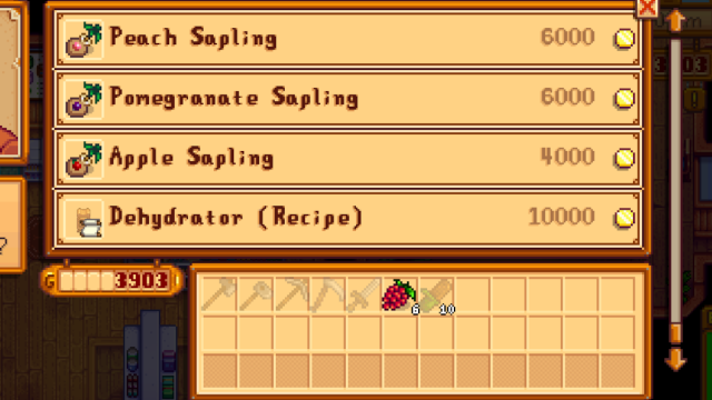 Dehydrator in Pierre's store in Stardew Valley