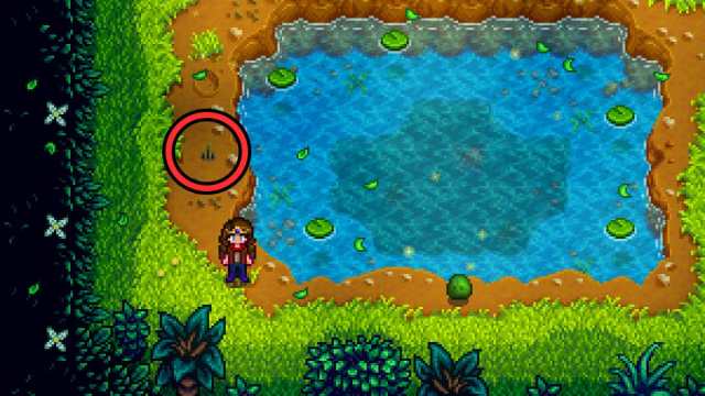 Stardew Valley Summer Squash grass spot