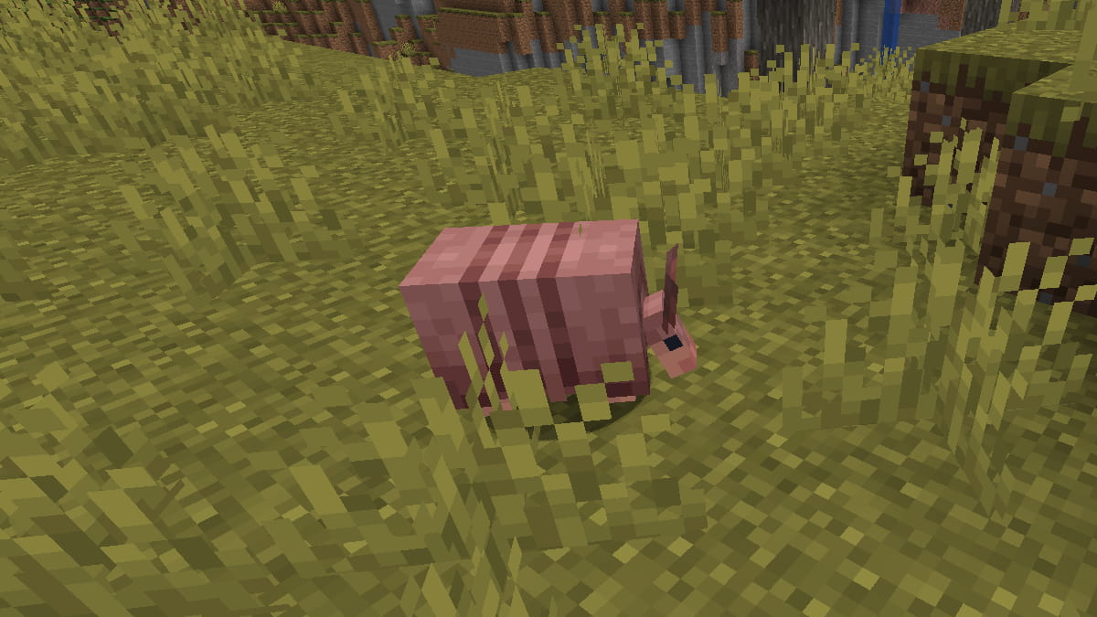 Minecraft armadillo