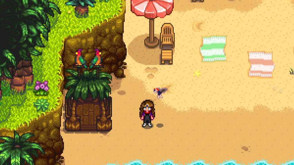 Stardew Valley Parrot Express