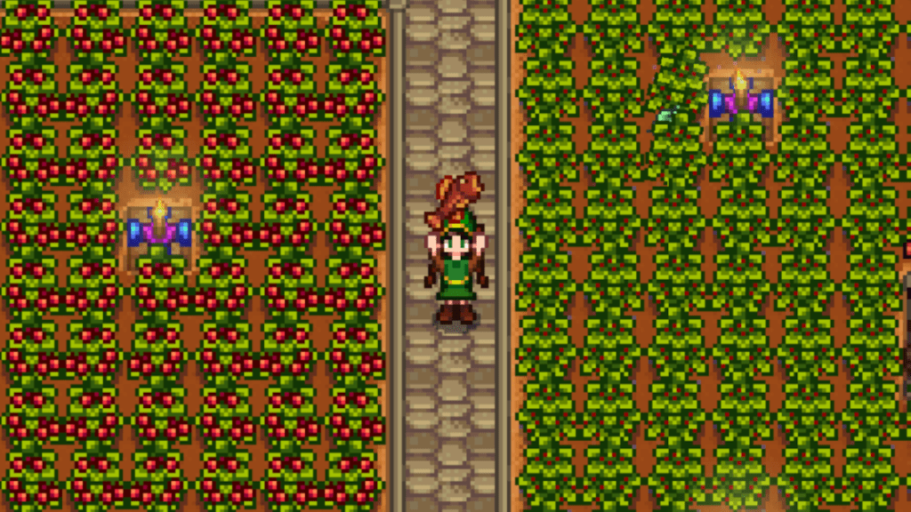 The Woodskip in Stardew Valley