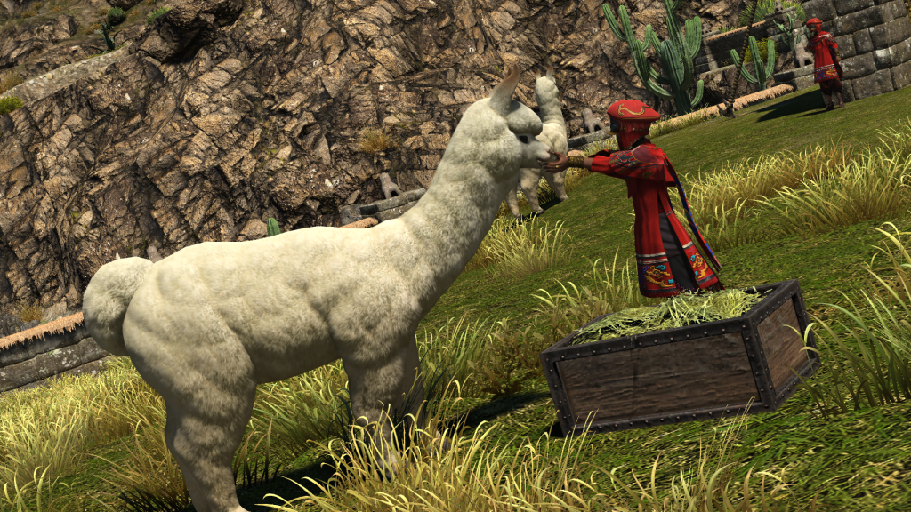 An NPC from FFXIV Dawntrail's new Pelupelu Tribe feeding an Alpaca