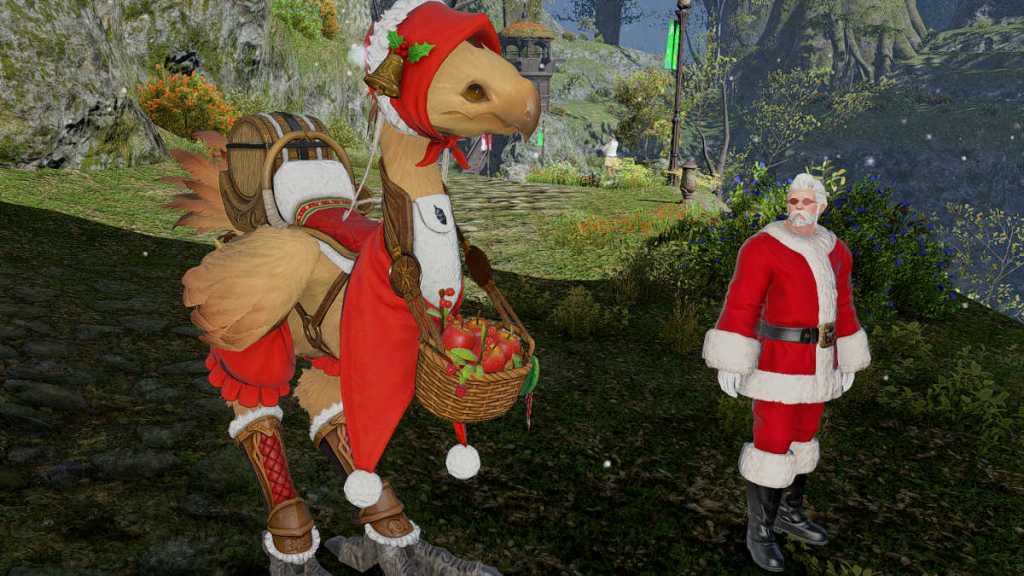 Starlight Festival 2024