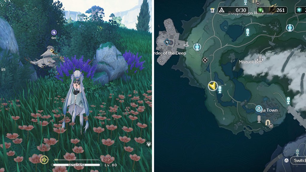 The Knight of Cowardice location in Wuthering Waves.