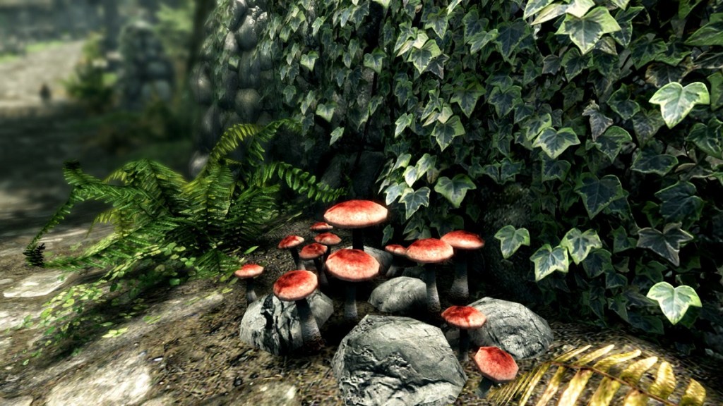 Skyrim: a close-up of some red-capped mushrooms against some greenery.