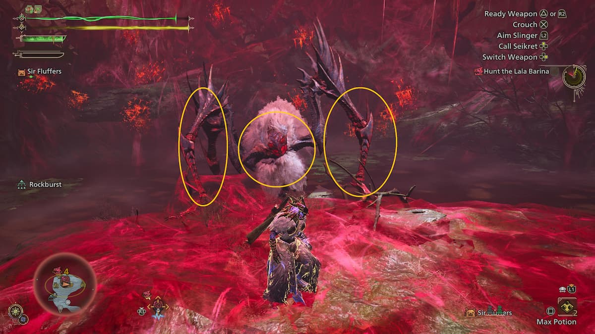 Lala Barina weak spots