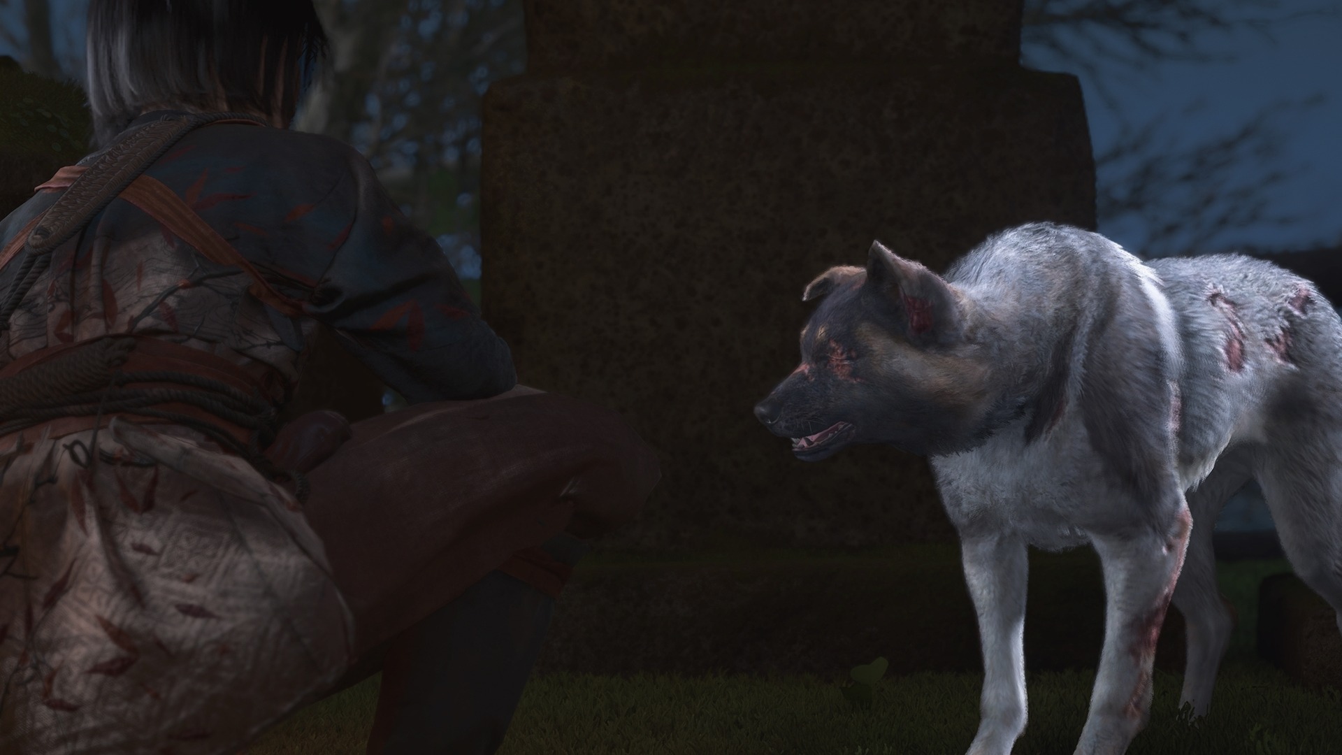 Thrown to the Dogs Assassin's Creed Shadows