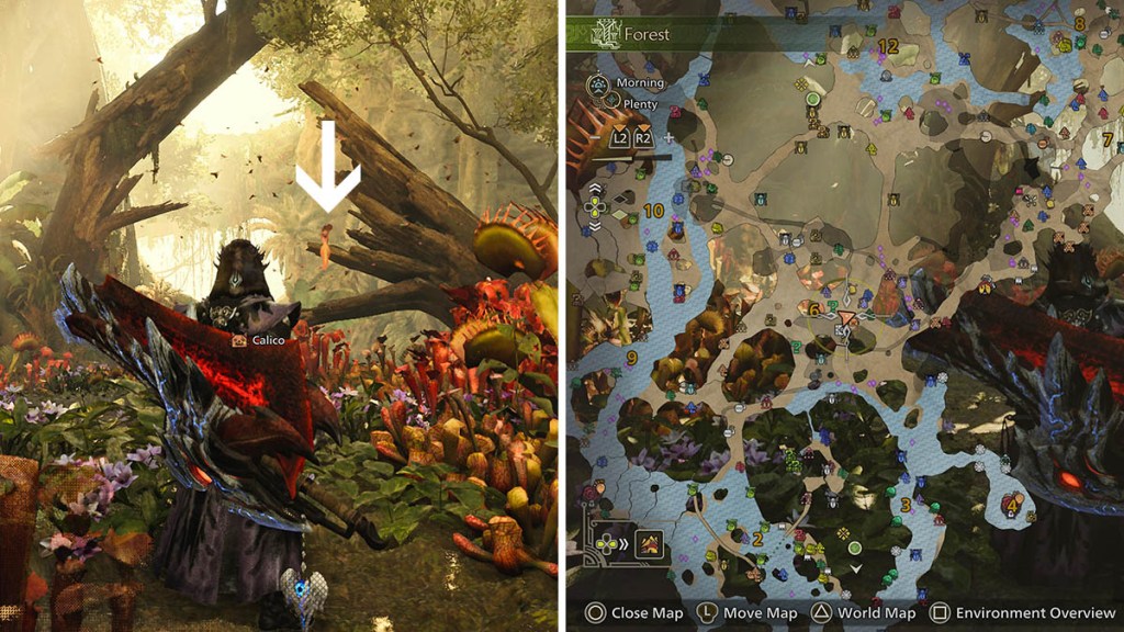 The area where we found the Dazzlewing in Monster Hunter Wilds.