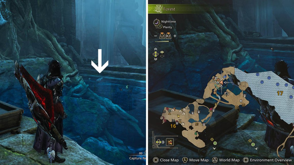 The location of the Petricanths.