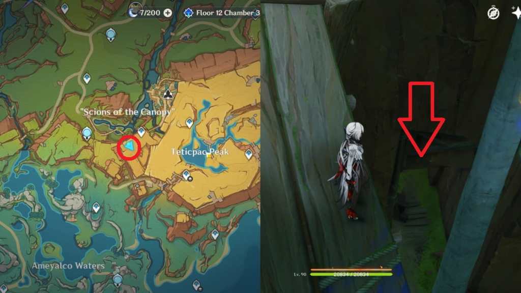 Scions of the Canopy Secret Space location