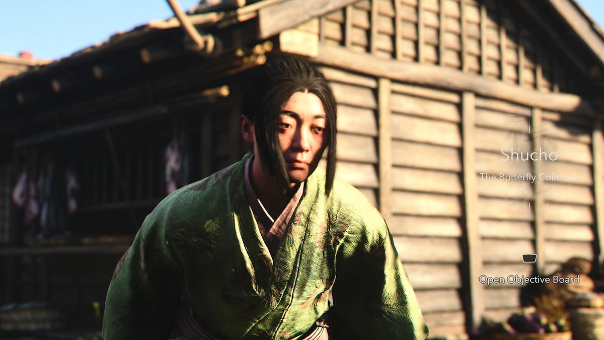 Shucho in Butterfly Collector