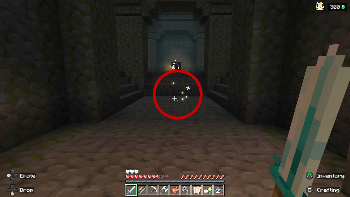 Cactus Ball spawn in Mines dungeon