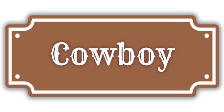 Cowboy Class from Dead Rails Roblox experience