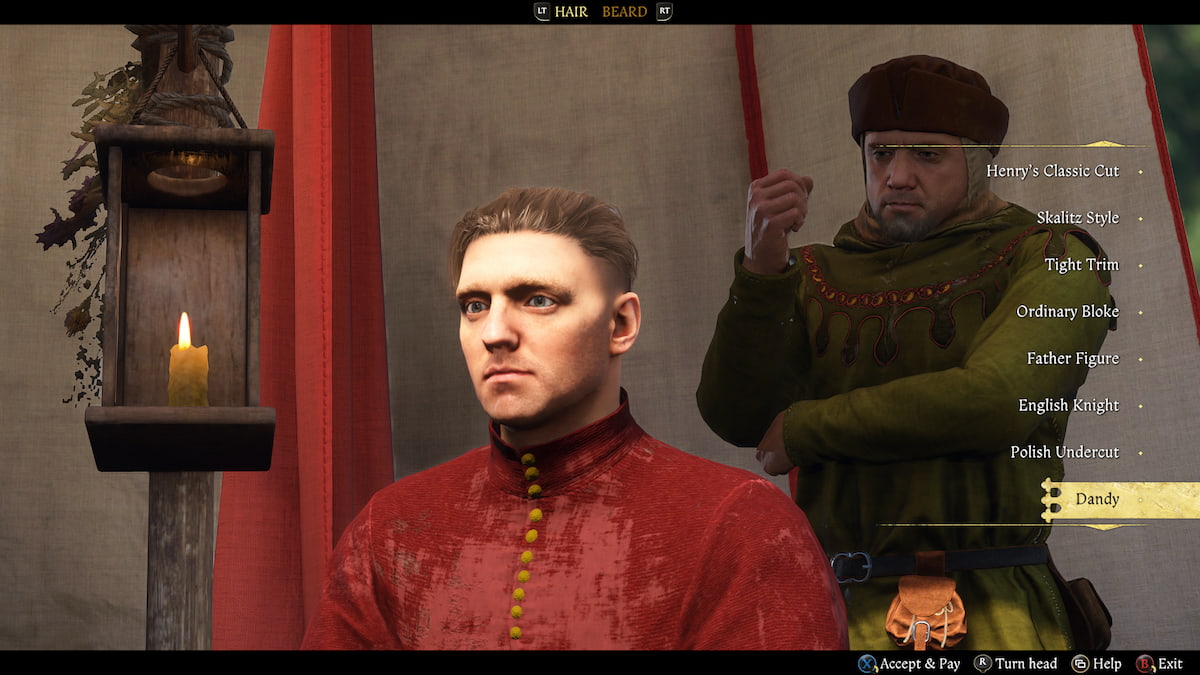 Henry's Dandy Haircut 