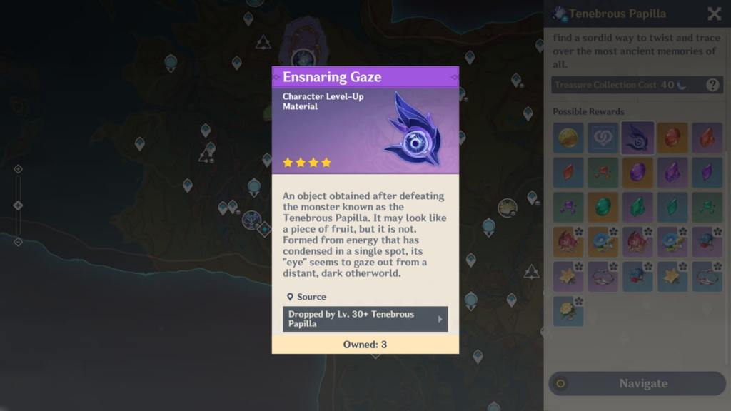 Ensnaring Gaze is Iansan's ascension material.