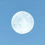 Full Moon phase in MH Wilds