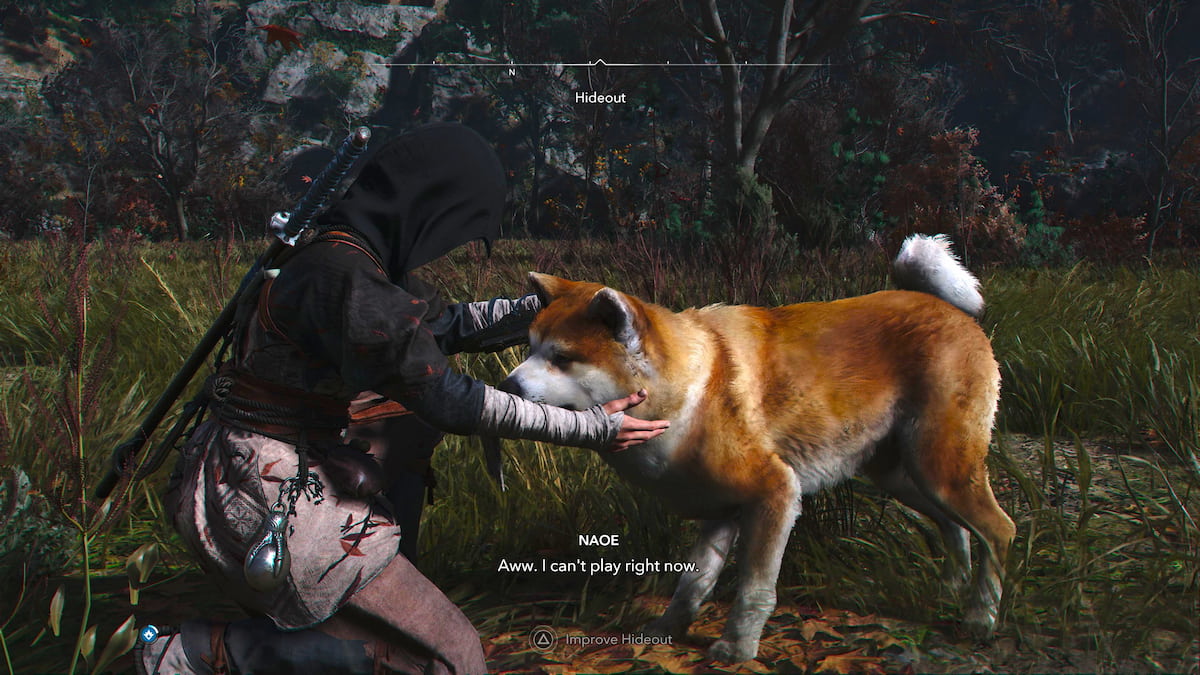 Petting a dog in AC: Shadows