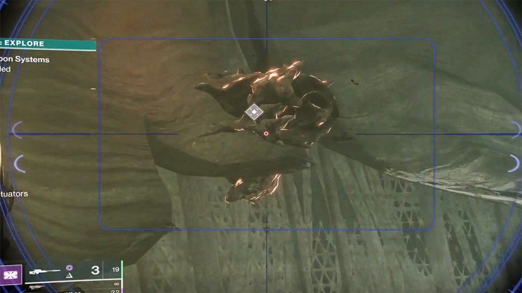 Flesh piece in Destiny 2