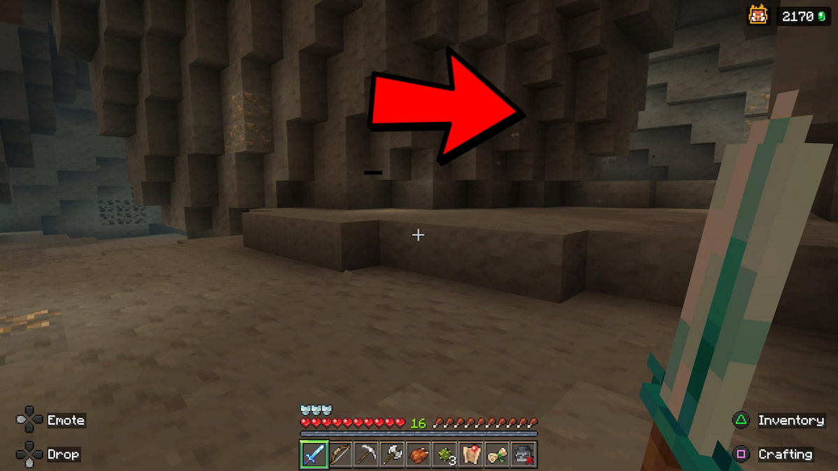 Pathway to Cactus Ball dungeon