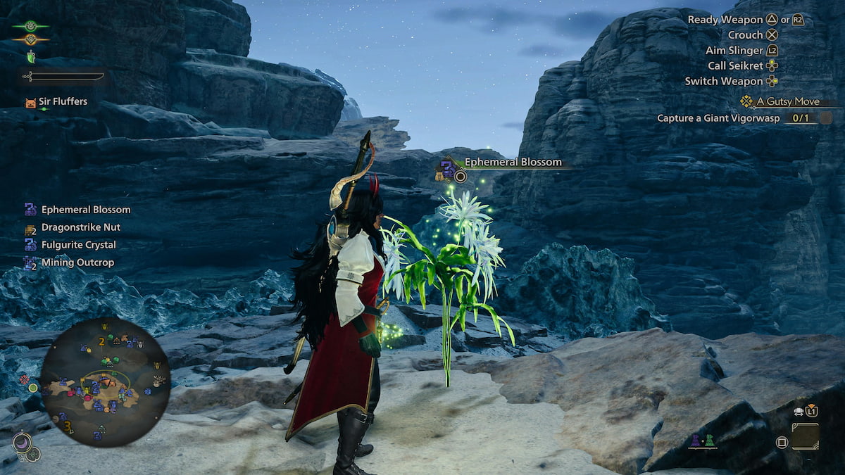 Picking up the Ephemeral Blossom