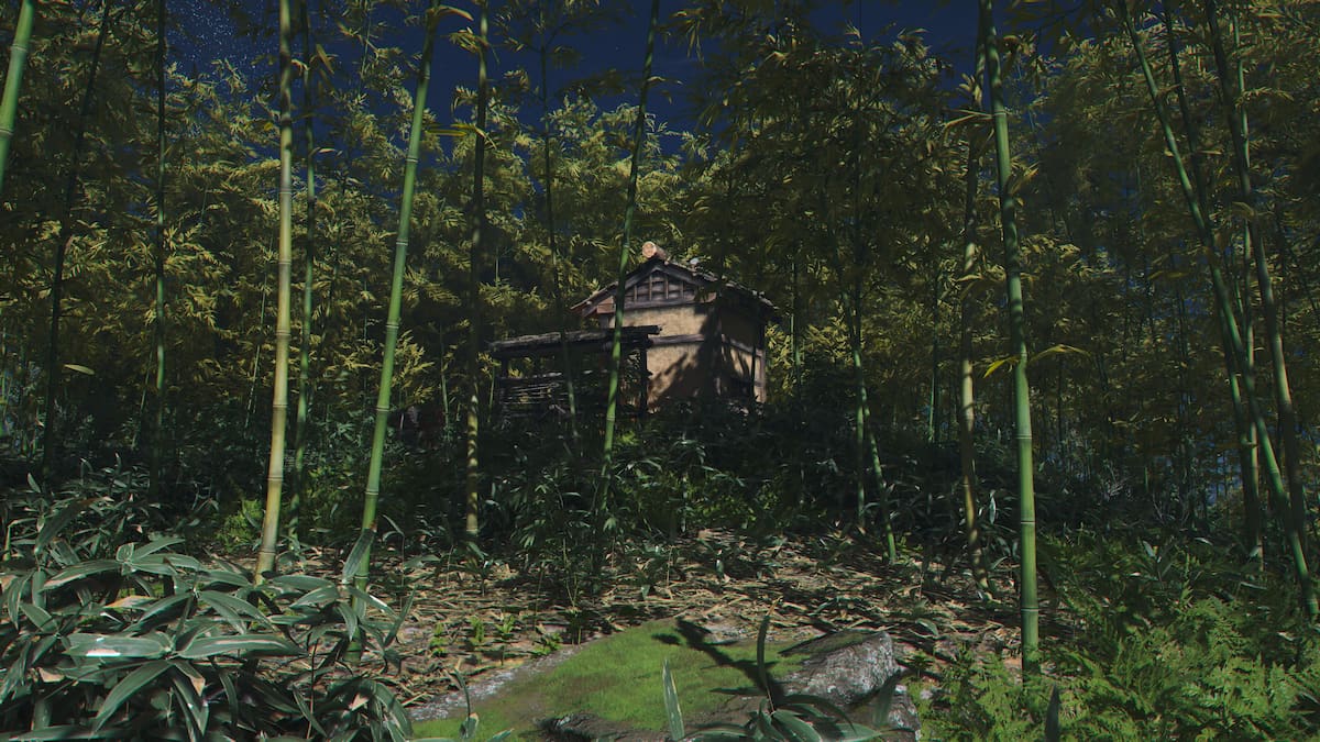 Cabin in Bamboo Grove 