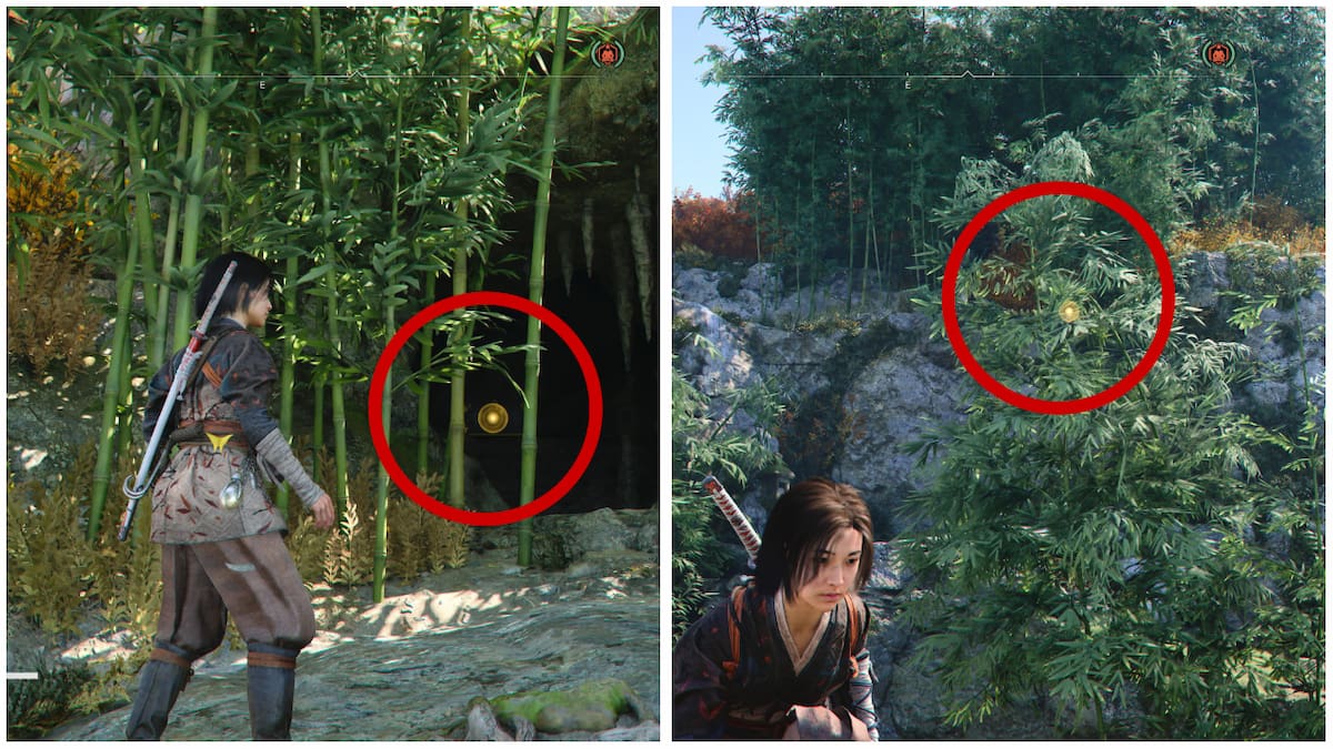 Bamboo area that contains the Legendary Chest for Iga's Flame