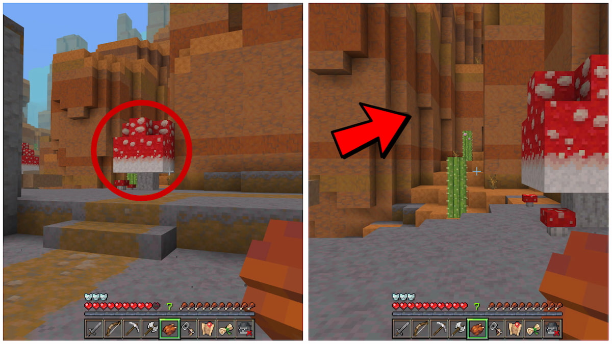 Cacti pathway in Minecraft